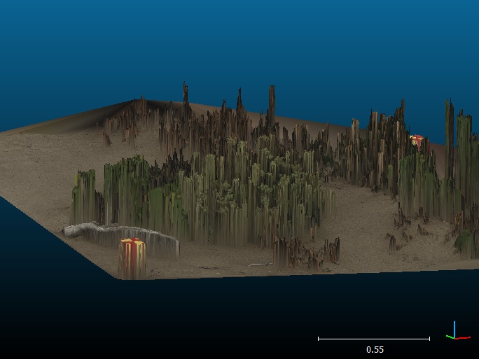 2D1/2 Delaunay triangulation issue