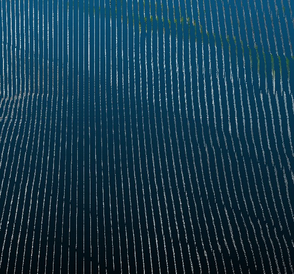 Capture d’écran 2025-06-03 134705.jpg