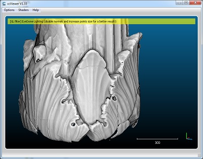 ccViewer snapshot